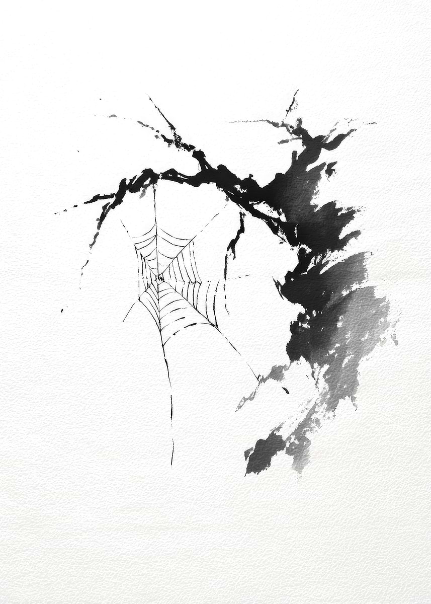 'Ink Drawing of Spiderweb and Branch' Poster, picture, metal print ...