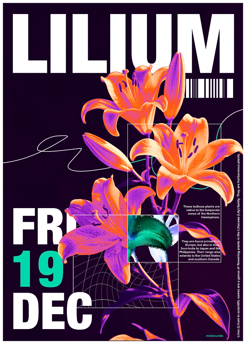'Lilium Floral Poster Design' Poster, picture, metal print, paint by ...