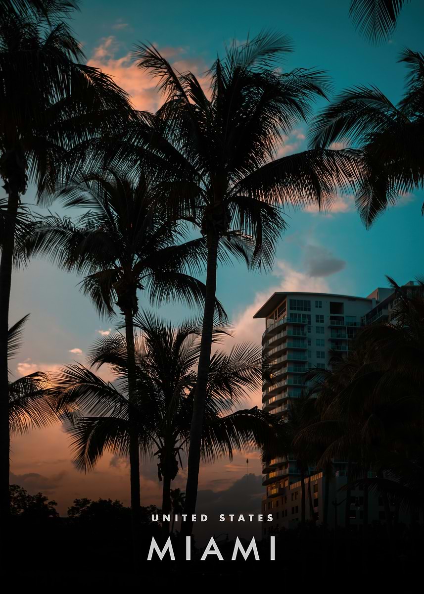 Miami Tree Posters Examples 'Miami Palm Trees at Sunset' Poster, picture, metal print, paint by ...