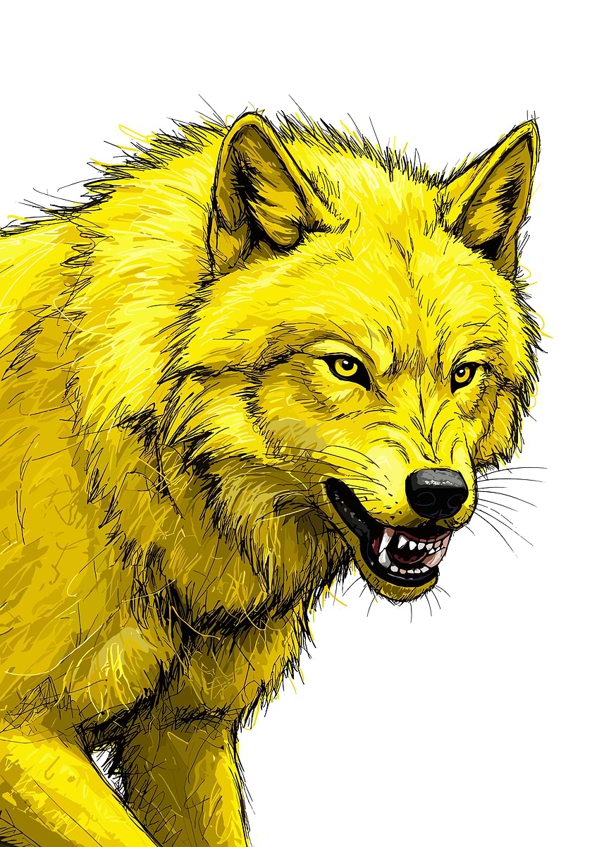 'Fierce Yellow Wolf Illustration' Poster, picture, metal print, paint ...