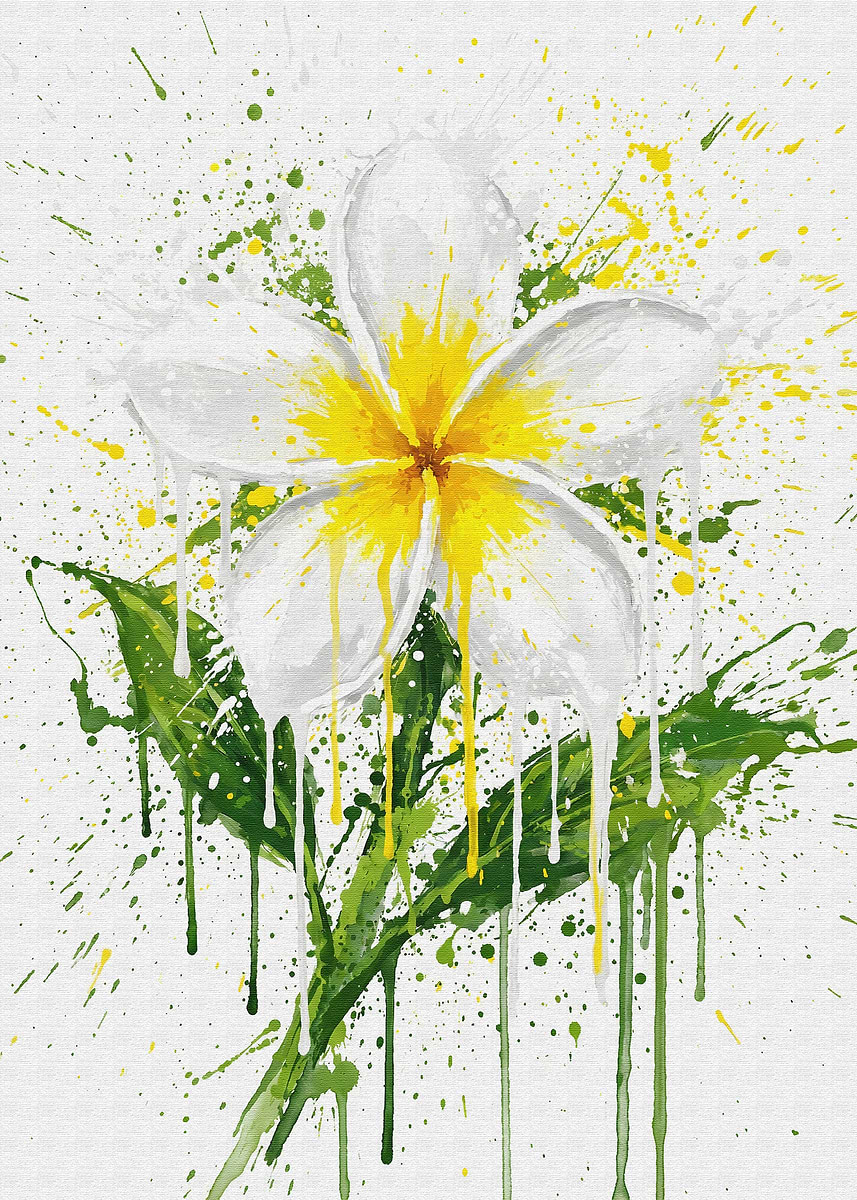 'Plumeria Flower Watercolor Splatter Art' Poster, picture, metal print ...