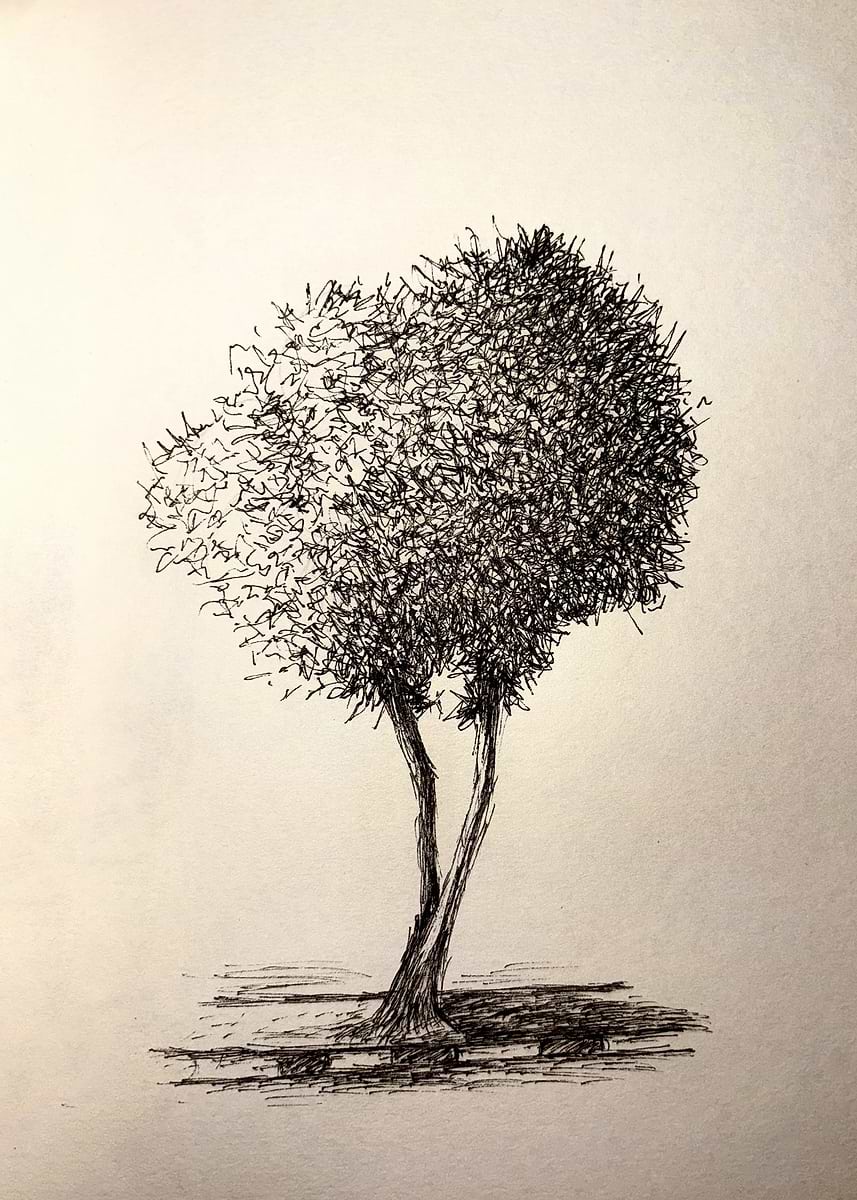 'Abstract Tree Sketch with Pen and Ink' Poster, picture, metal print ...