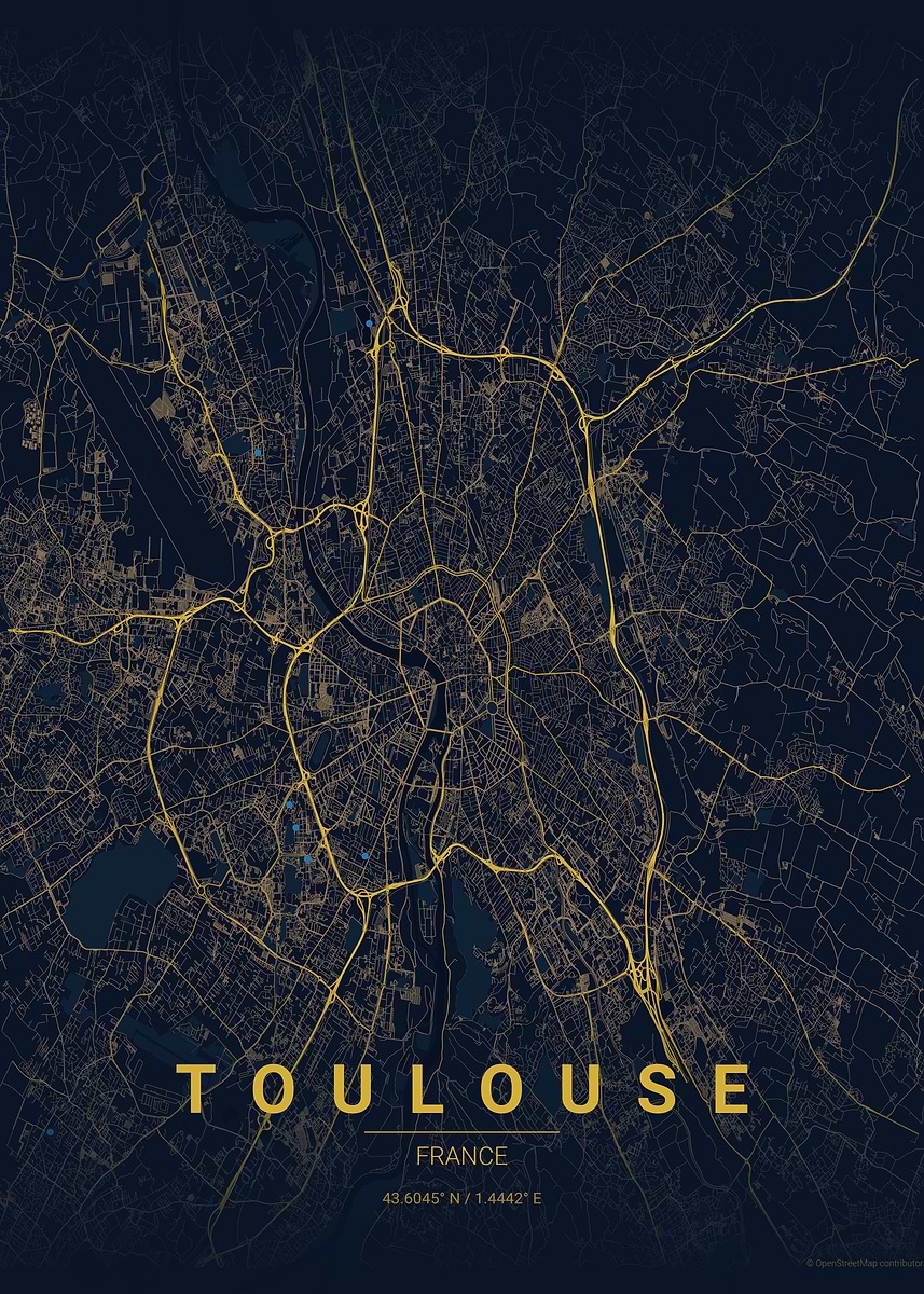 Toulouse France City Map Poster Picture Metal Print Paint By 29070cf2 Be05 47f9 A858 