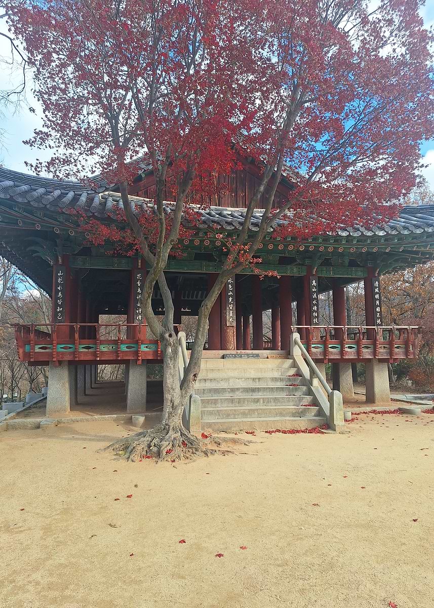 'Autumn Pagoda with Red Maple Tree' Poster, picture, metal print, paint ...