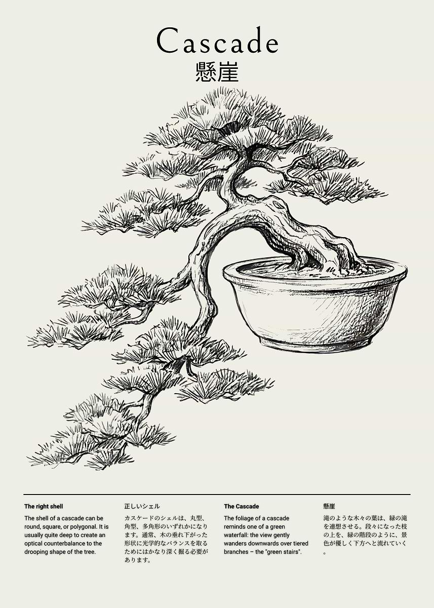 'Cascade Bonsai Tree Illustration' Poster, picture, metal print, paint by  KriegerTJ | Displate