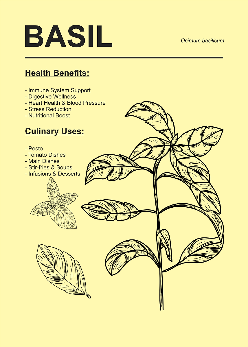 'Basil Plant Health and Culinary Uses' Poster, picture, metal print ...