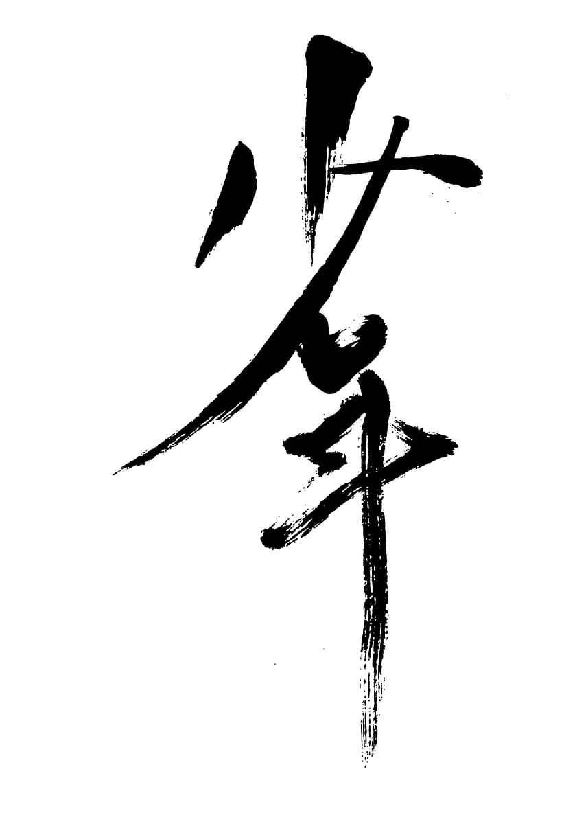 'Chinese Calligraphy for 'Youth'' Poster, picture, metal print, paint ...