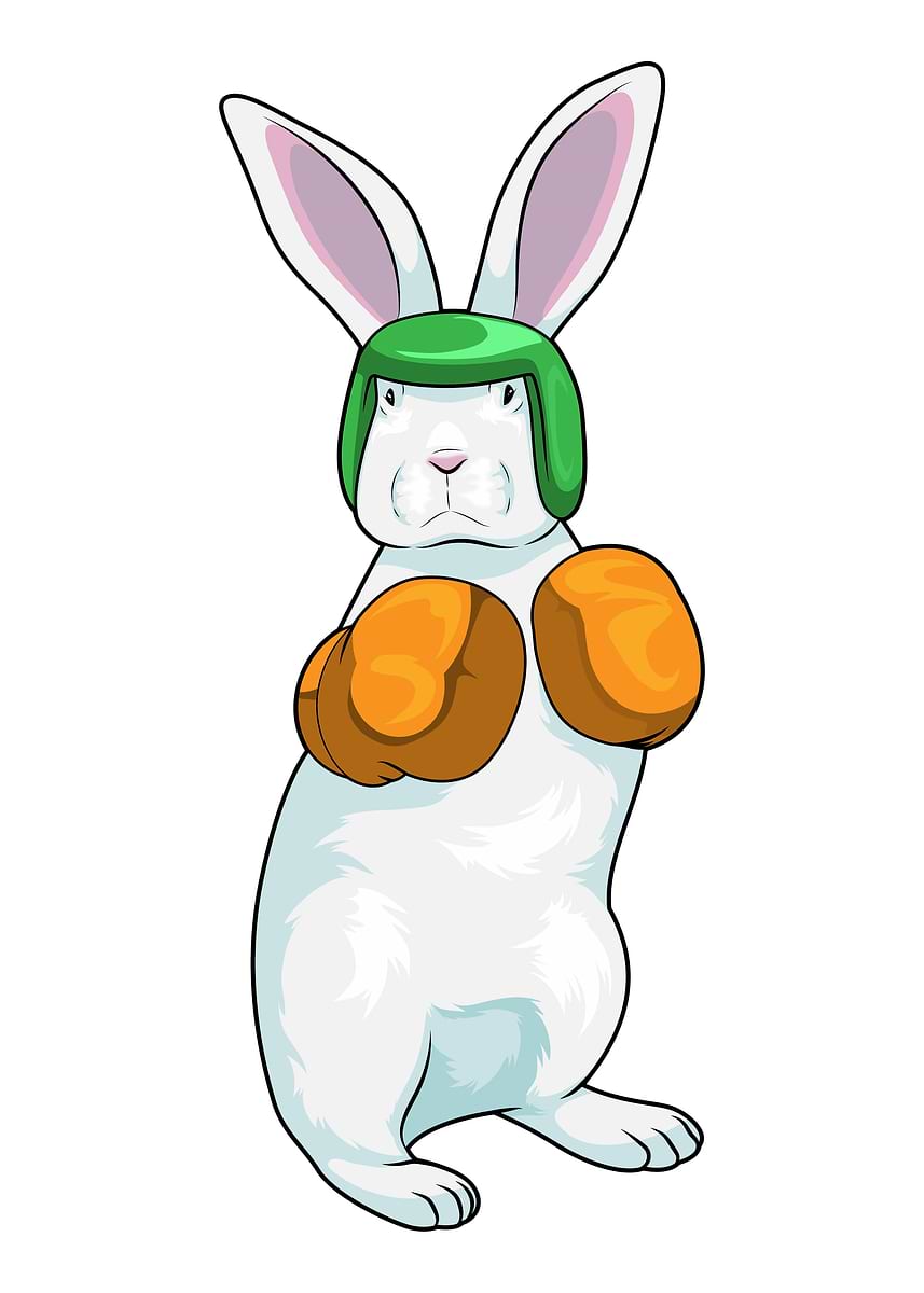 'Rabbit Boxer Boxing gloves' Poster, picture, metal print, paint by ...