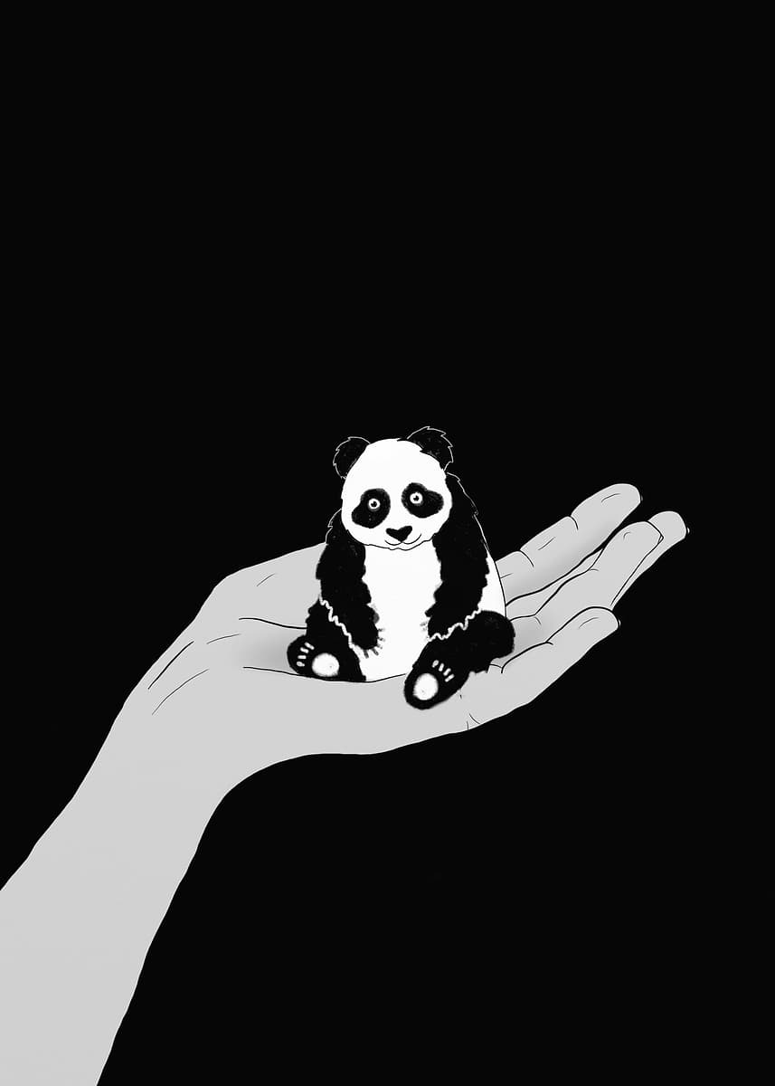 Panda Hand Rise 'Panda on a Hand' Poster, picture, metal print, paint by Classical Art ...