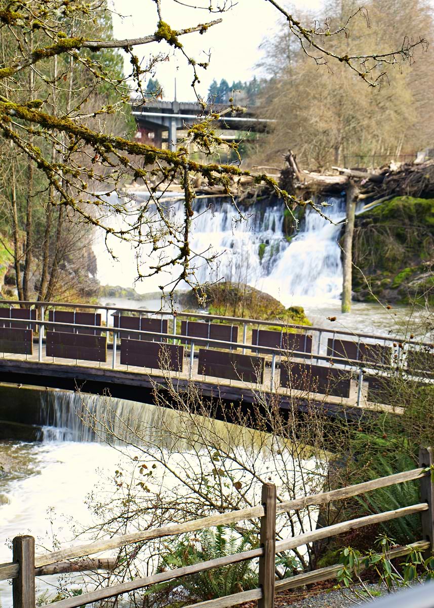 'Waterfall with Bridge and Trees' Poster, picture, metal print, paint ...