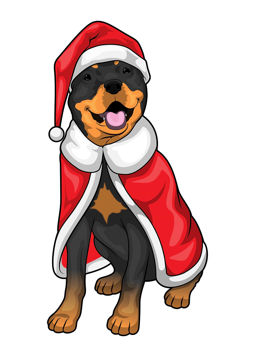 'Rottweiler Christmas Santa hat' Poster, picture, metal print, paint by ...