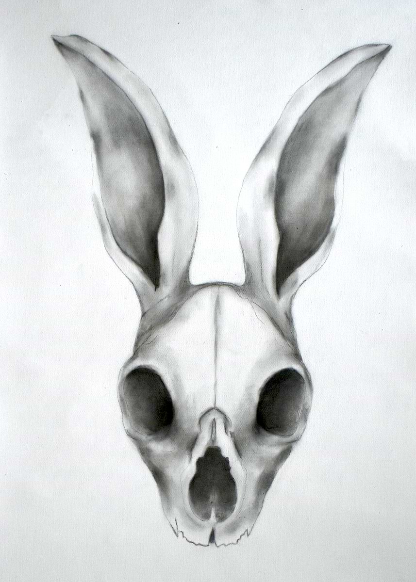 Brush Rabbit Skull 'Pencil Sketch of a Rabbit Skull' Poster, picture, metal print, paint ...