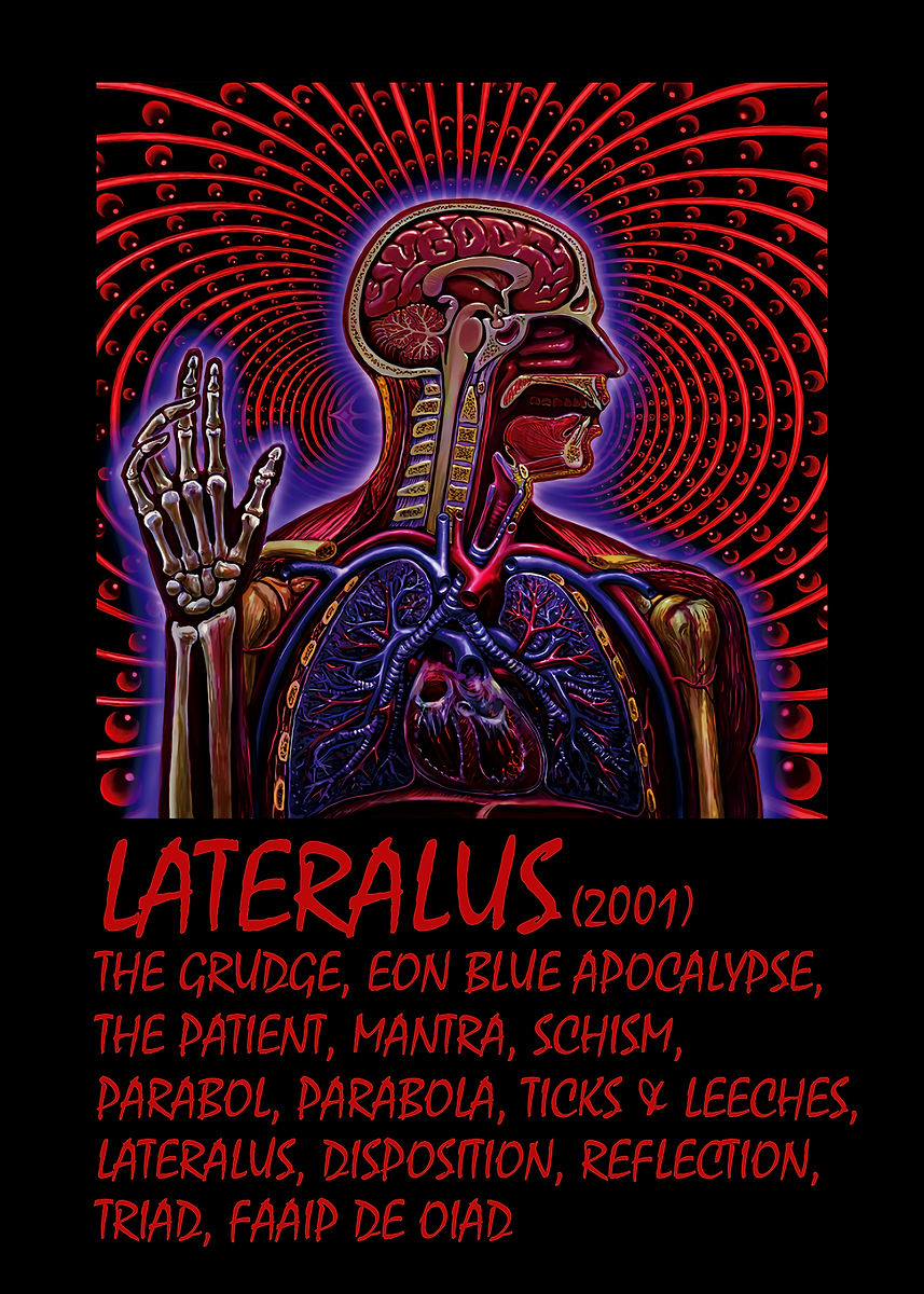 Lateralous 'Lateralus Art' Poster, picture, metal print, paint by Tao Pai Pai ...