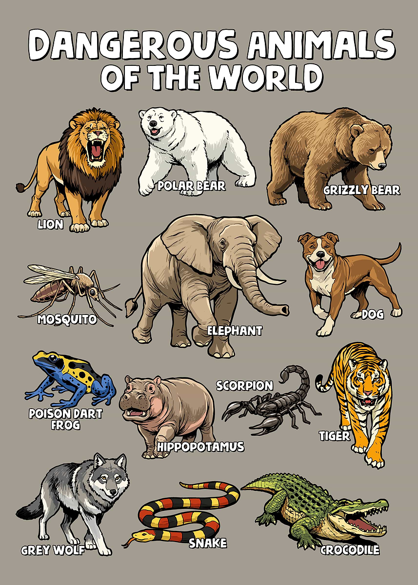 RISK/HELL’S ANIMALS 国内 帯付！リスク/ヘルズ・アニマルズ Dangerous Animals of the World' Poster, picture, metal print