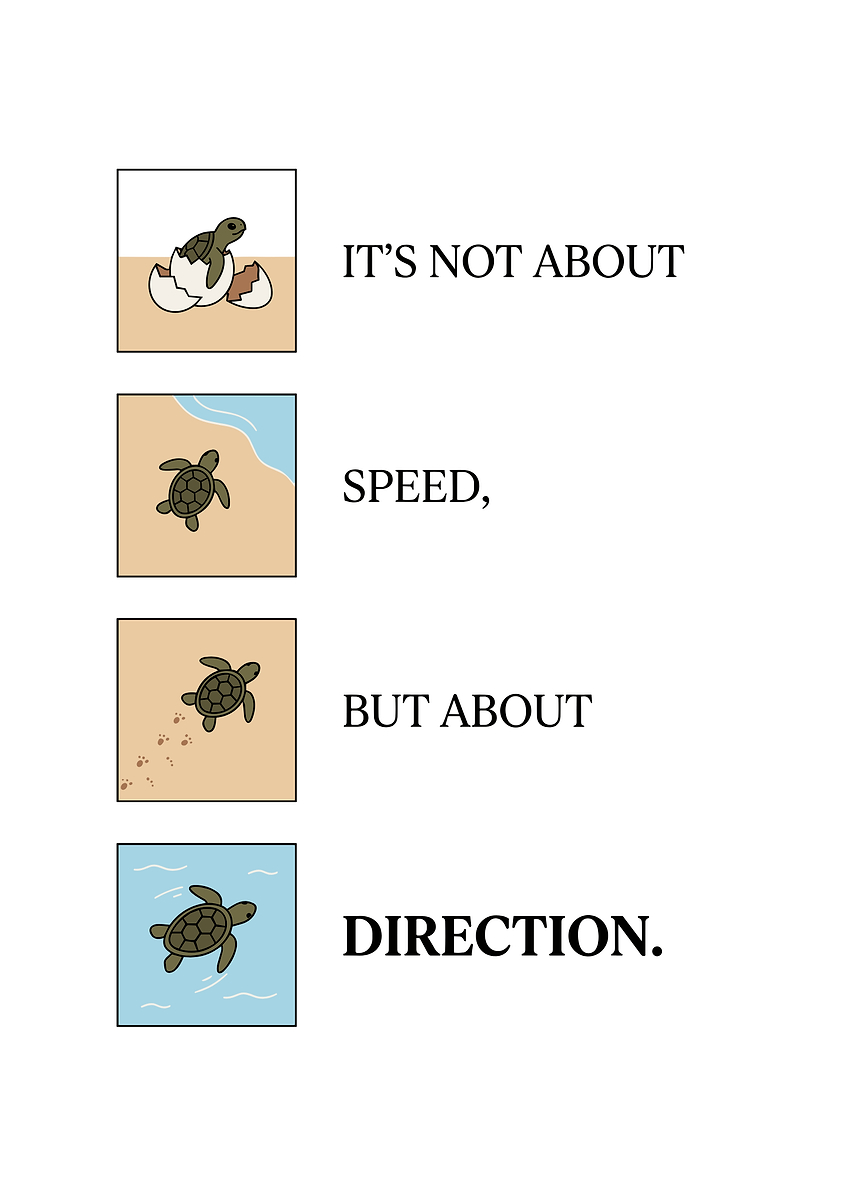 Inspirational Turtle Life Journey Poster Poster, Picture & Metal Print ...