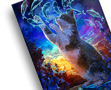 Limited edition Displate