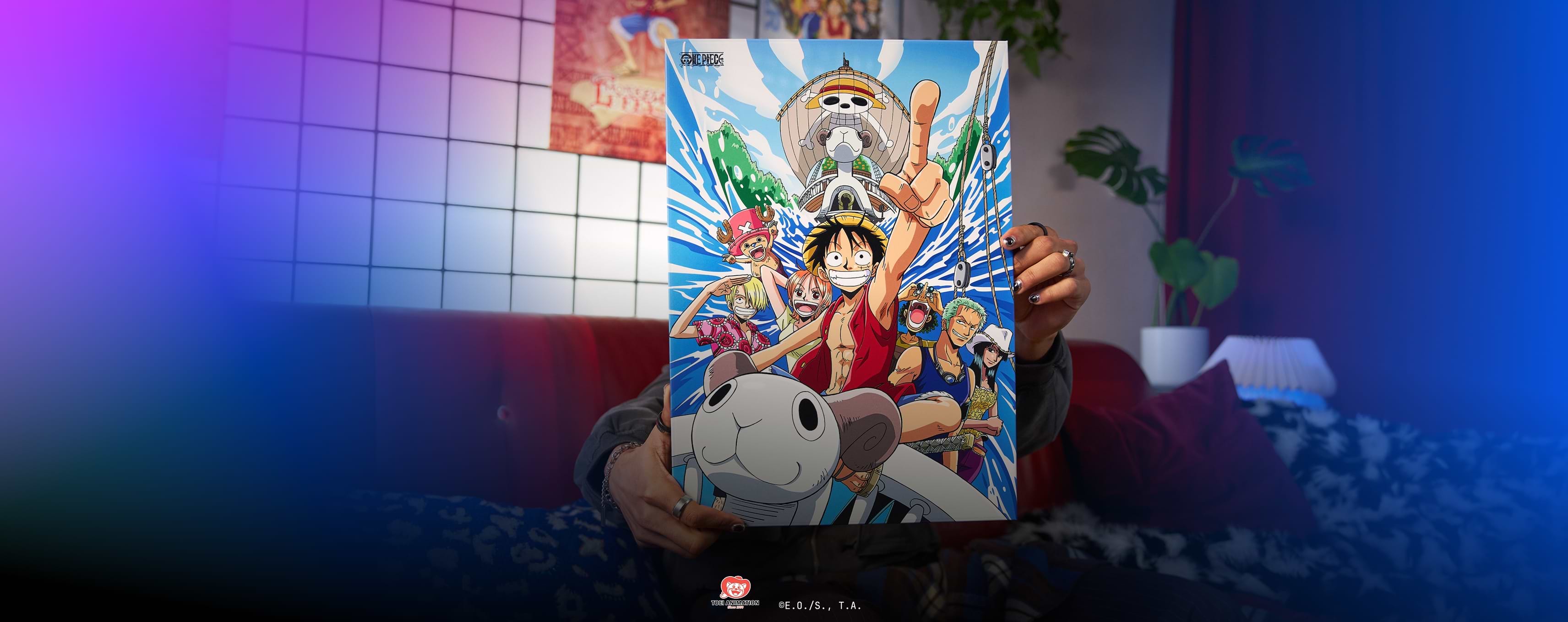 GRAB YOUR STRAW HATS! EXPLORE ONE PIECE DESIGNS