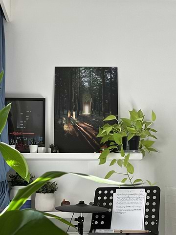 inspiration image