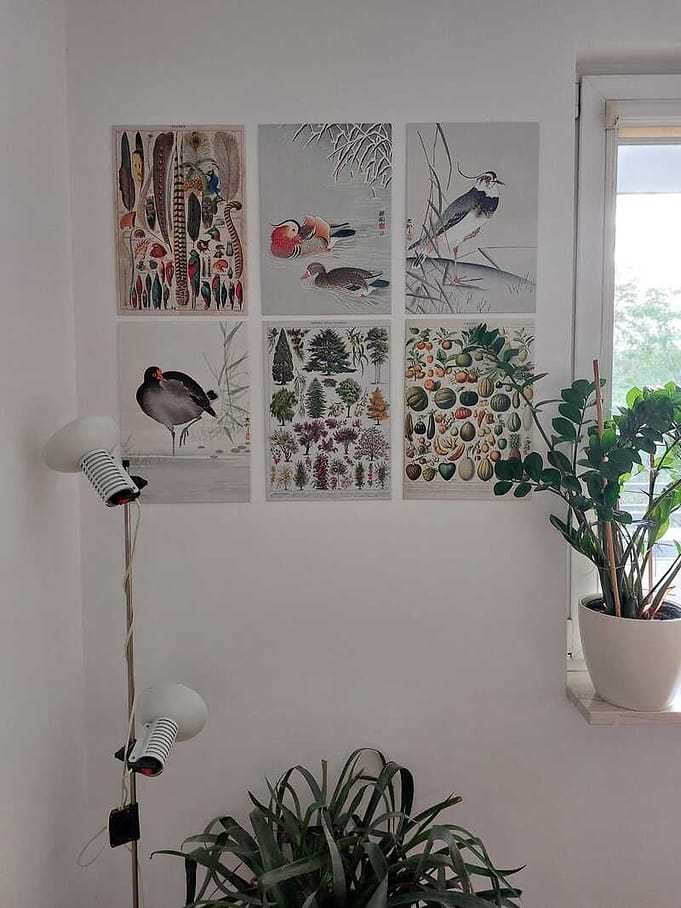 inspiration image