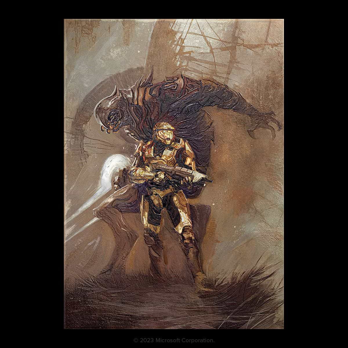 Limited Displate image