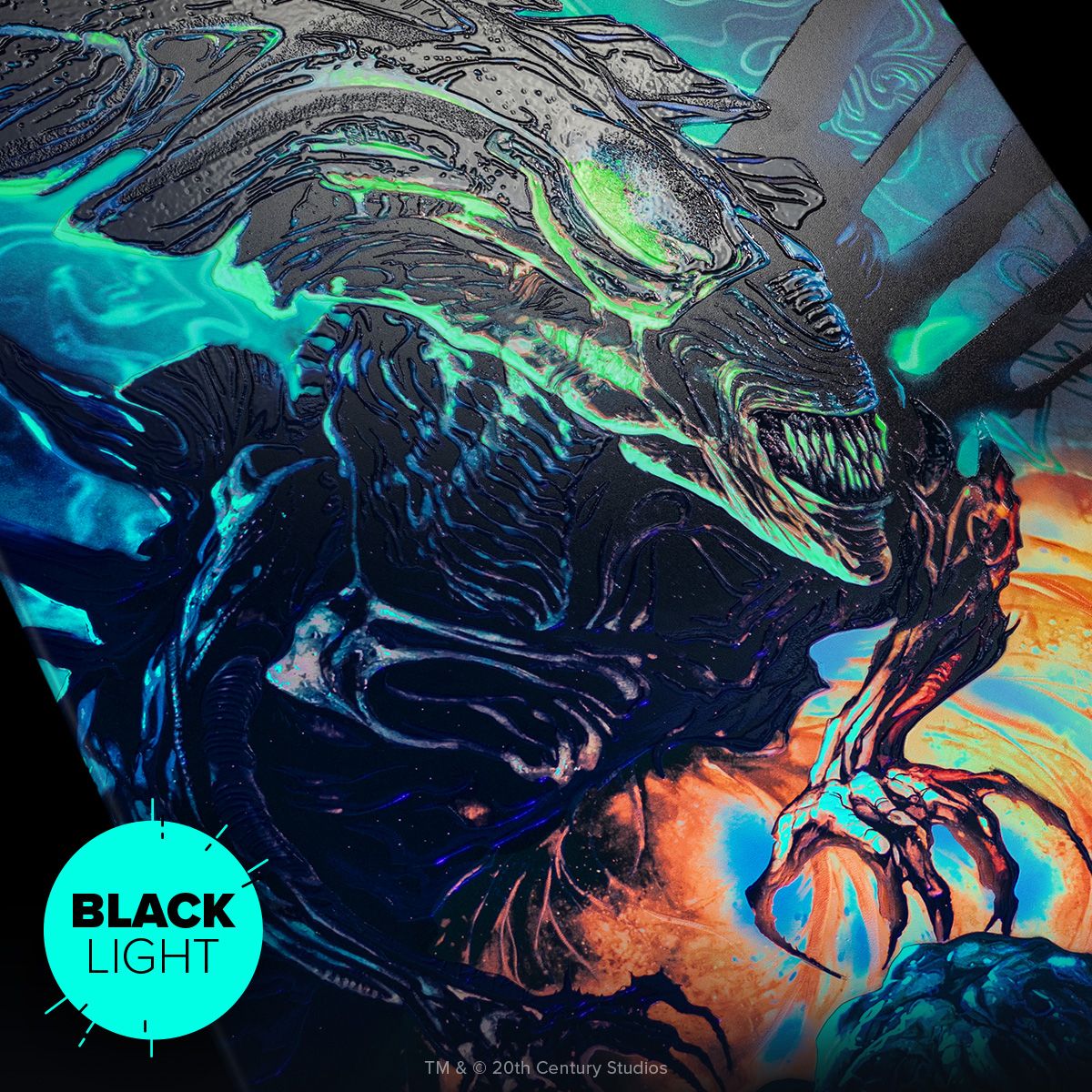 Limited Displate image