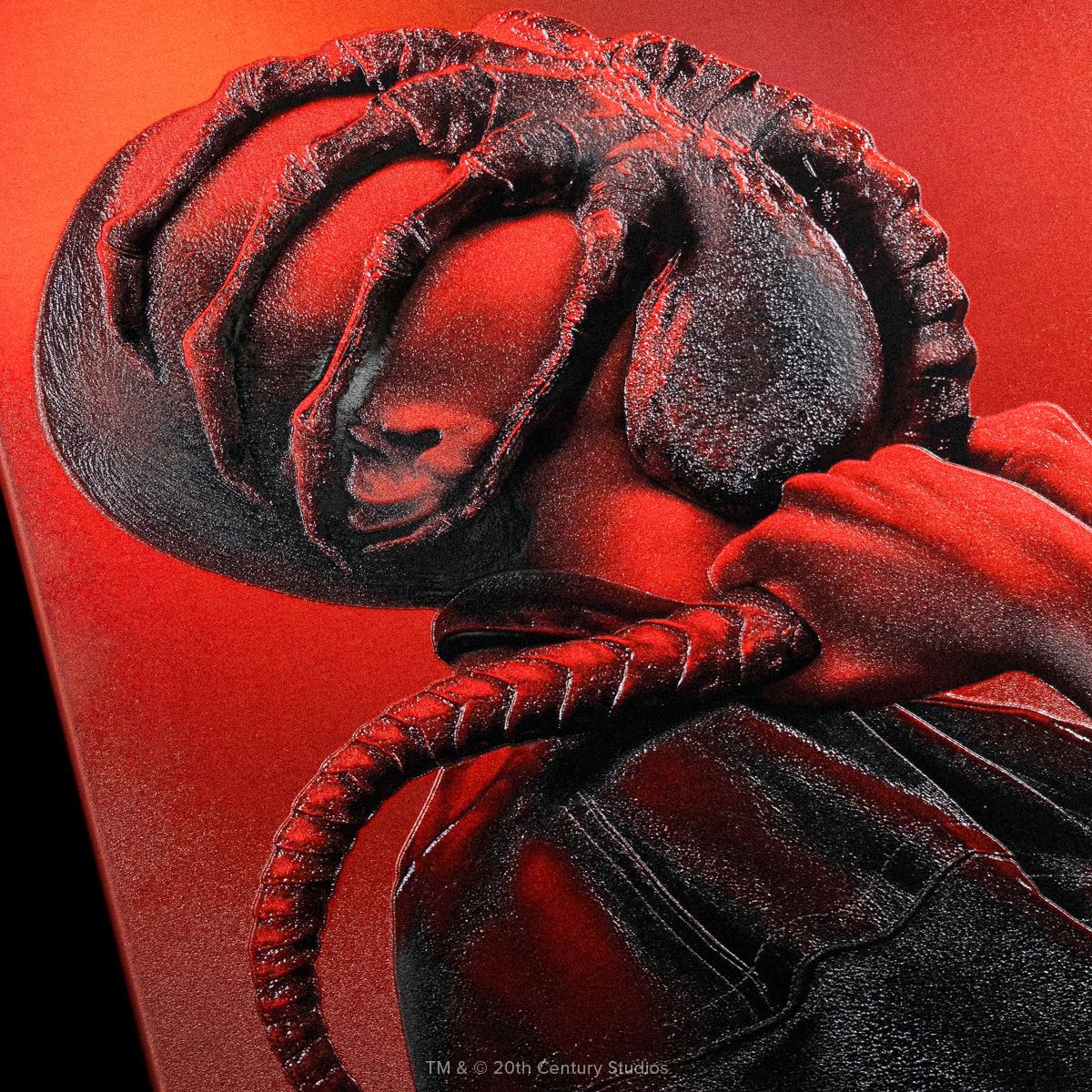 Limited Displate image