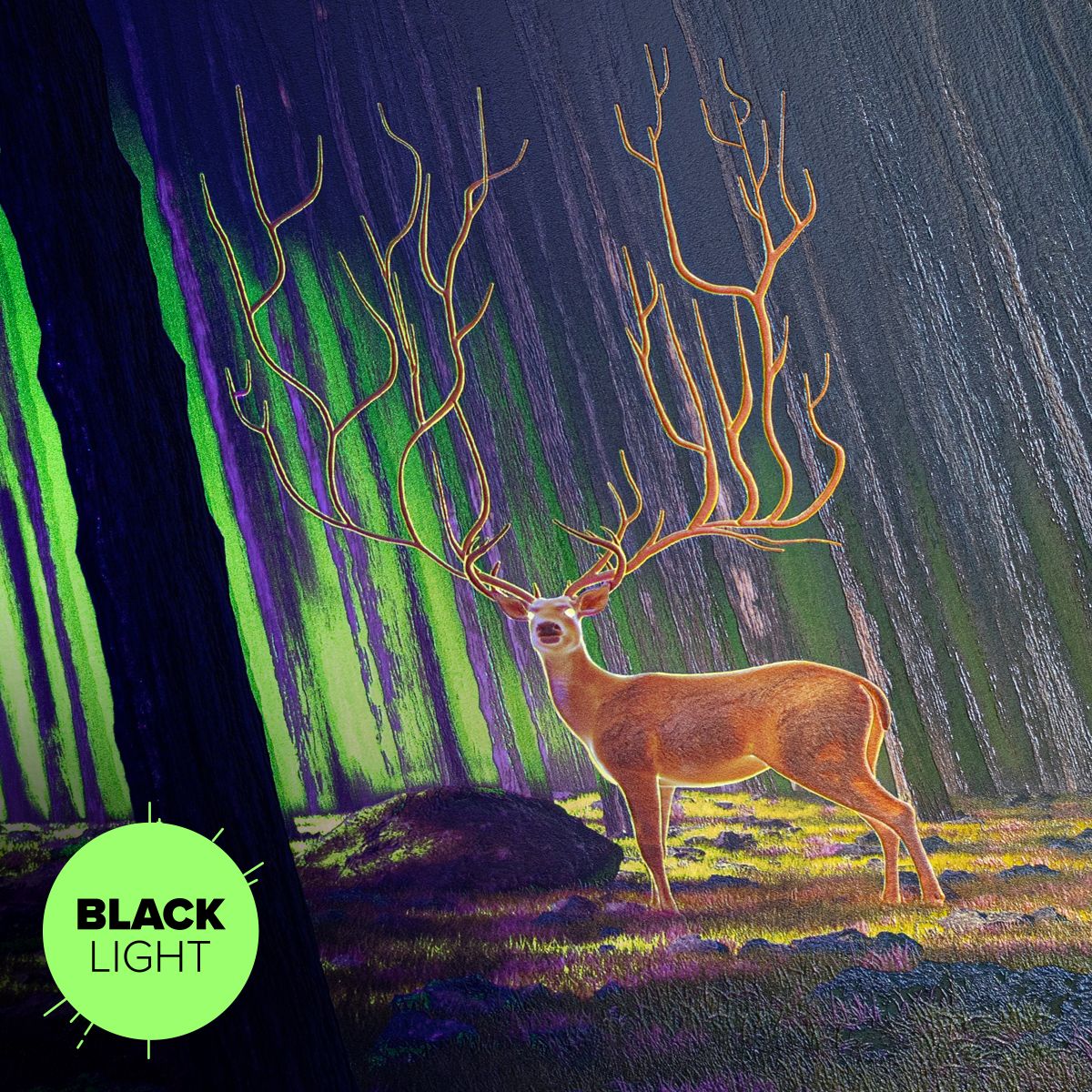 Limited Displate image