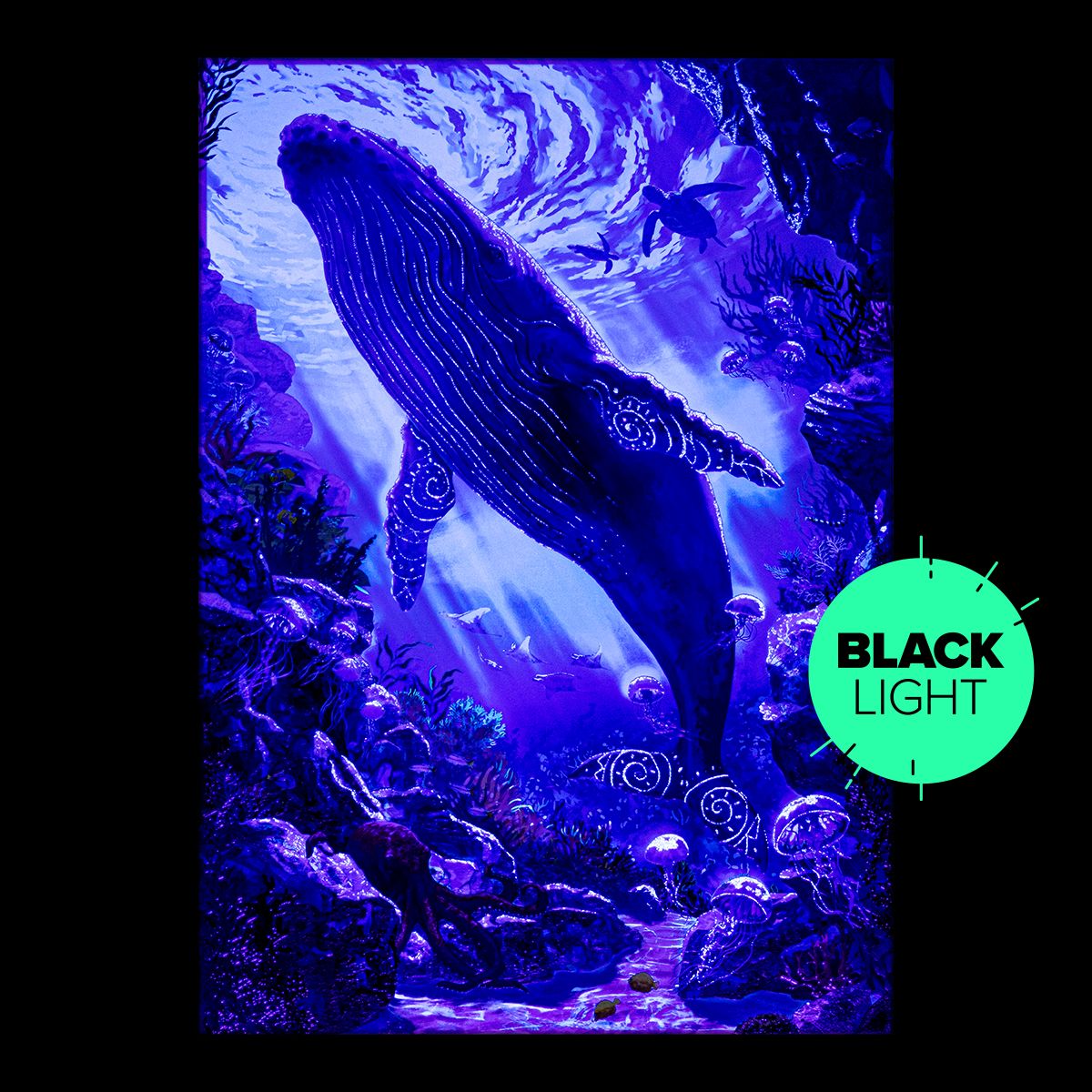 Limited Displate image