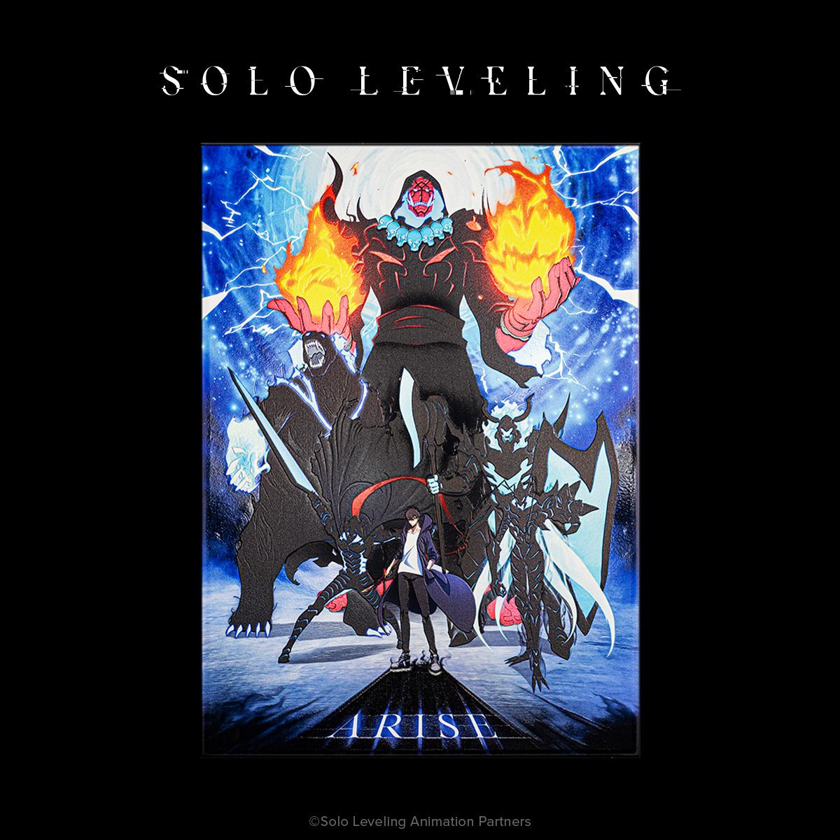 Limited Displate image