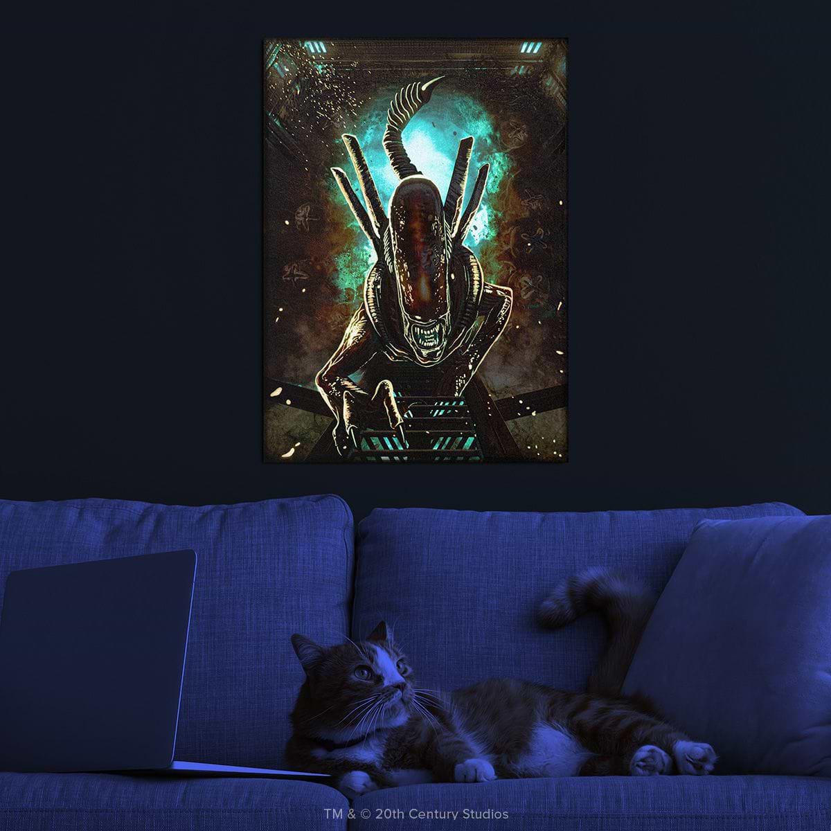 Limited Displate image