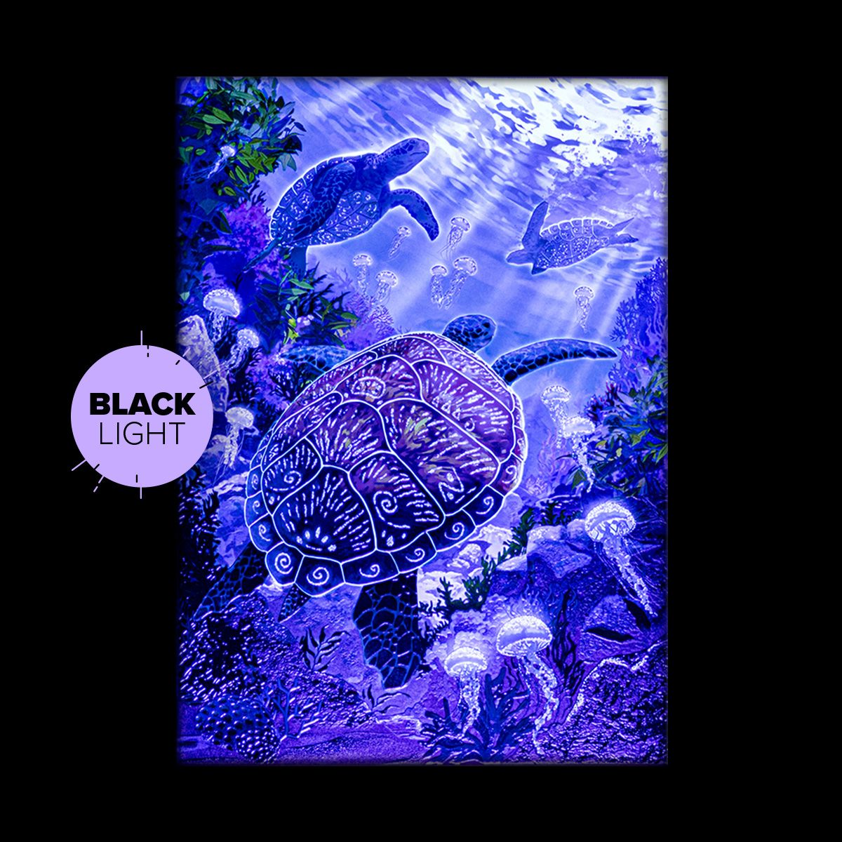 Limited Displate image