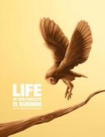 Wilson Cáceres avatar