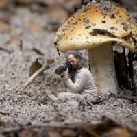 Diego Torchia avatar