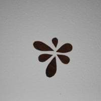 nikhileswarreddy nallaiah gari avatar