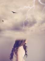 Denise Snyder avatar