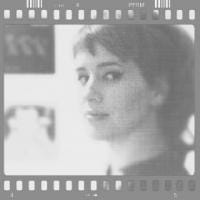 Terrestre Images avatar