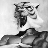 Davide Rtzo Ratti avatar