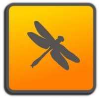 Dragonfly Photos