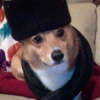 Andrew Wasowicz avatar