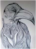 Arthur Diener avatar