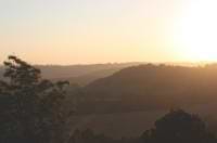 Damian Audino avatar