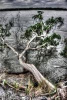 Chris Phillips avatar