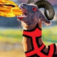 Alex Montague avatar