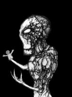 The Dromaga Manifest