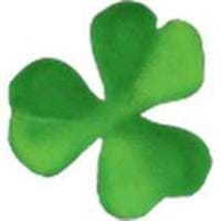 Greg Sullivan avatar