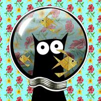 Andrew Hitchen avatar