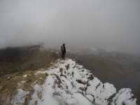 Patrick O'shaughnessy avatar