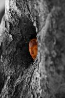 Fabian Wagner avatar