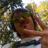 Nikita Moiseev avatar