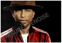 Surface Noise Creative